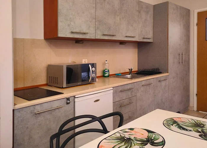 Apartament Izaaka